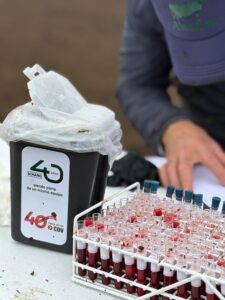 b2e973d5-cfe8-4271-b864-e5ebc7c994ea