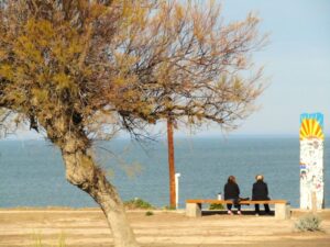 tres arroyos tapa